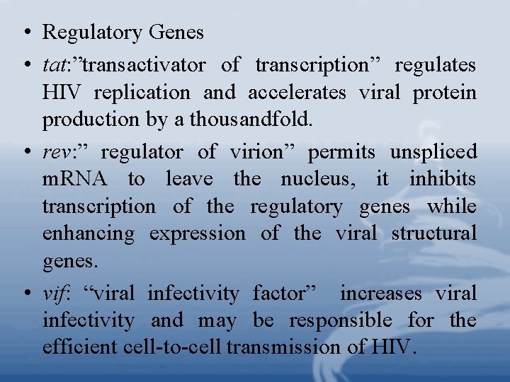  • Regulatory Genes • tat: ”transactivator of transcription” regulates HIV replication and accelerates