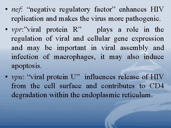  • nef: “negative regulatory factor” enhances HIV replication and makes the virus more