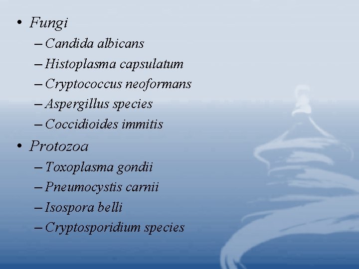  • Fungi – Candida albicans – Histoplasma capsulatum – Cryptococcus neoformans – Aspergillus