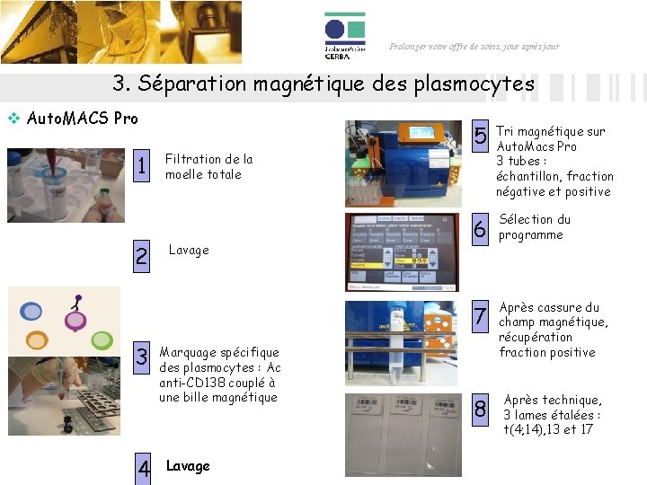 Prolonger votre offre de soins, jour après jour 3. Séparation magnétique des plasmocytes v Prolonger votre offre de soins, jour après jour 3. Séparation magnétique des plasmocytes v