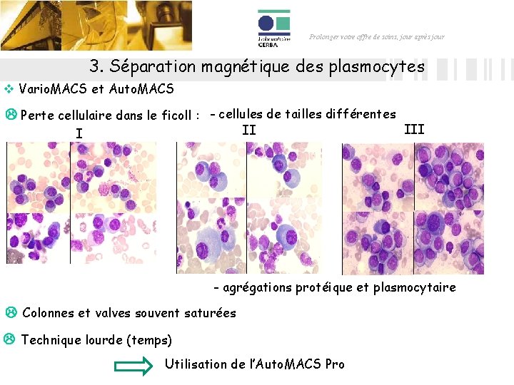 Prolonger votre offre de soins, jour après jour 3. Séparation magnétique des plasmocytes v