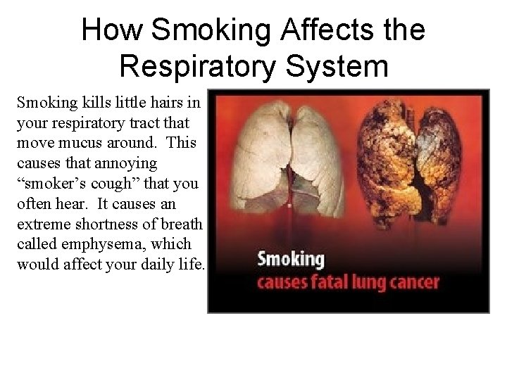 How Smoking Affects the Respiratory System Smoking kills little hairs in your respiratory tract