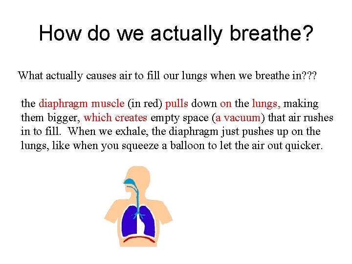 How do we actually breathe? What actually causes air to fill our lungs when