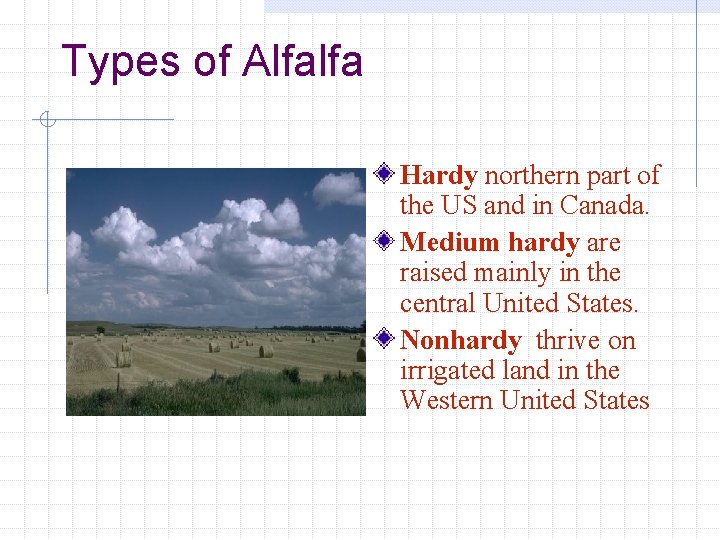 Types of Alfalfa Hardy northern part of the US and in Canada. Medium hardy
