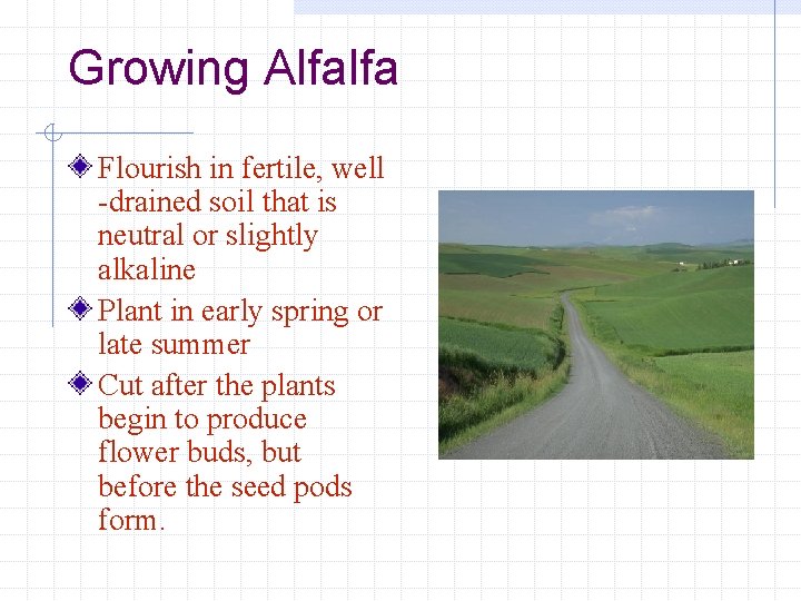 Growing Alfalfa Flourish in fertile, well -drained soil that is neutral or slightly alkaline