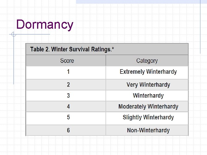 Dormancy 