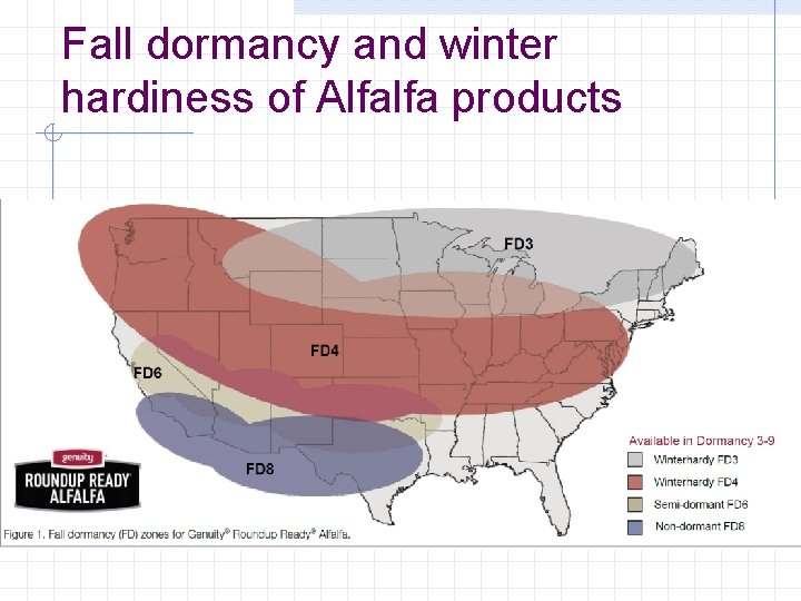 Fall dormancy and winter hardiness of Alfalfa products 