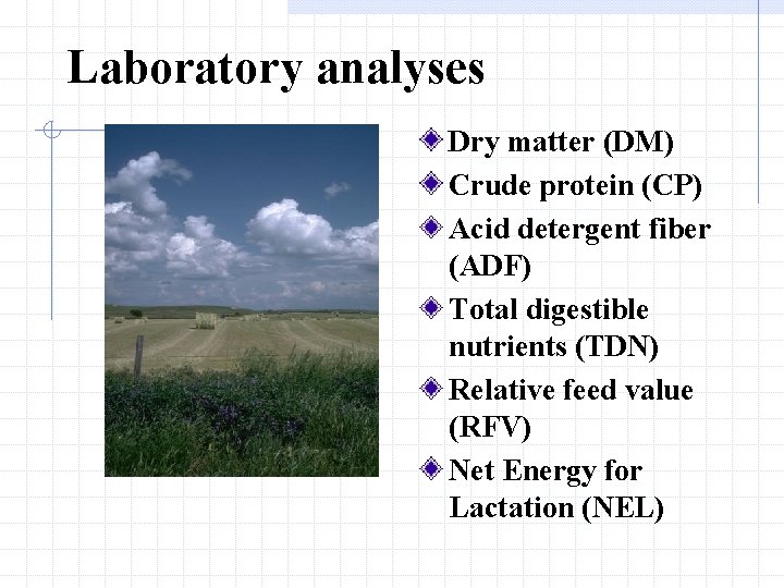 Laboratory analyses Dry matter (DM) Crude protein (CP) Acid detergent fiber (ADF) Total digestible