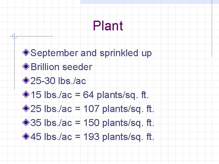 Plant September and sprinkled up Brillion seeder 25 -30 lbs. /ac 15 lbs. /ac