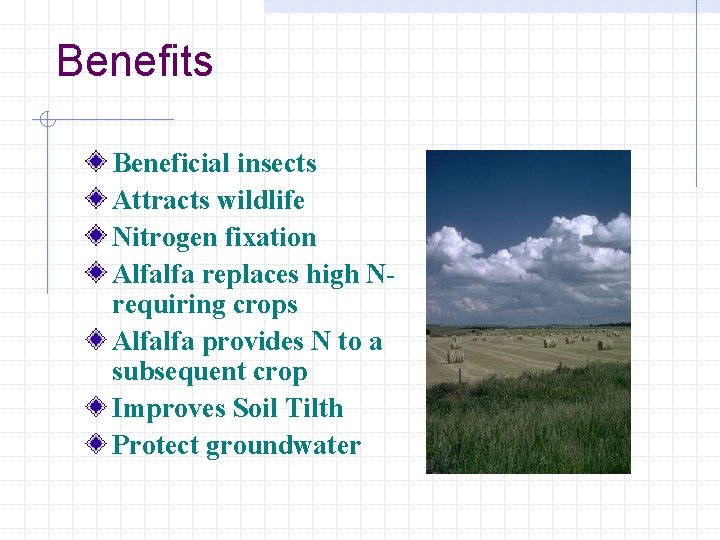 Benefits Beneficial insects Attracts wildlife Nitrogen fixation Alfalfa replaces high Nrequiring crops Alfalfa provides
