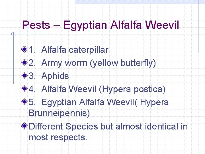 Pests – Egyptian Alfalfa Weevil 1. Alfalfa caterpillar 2. Army worm (yellow butterfly) 3.