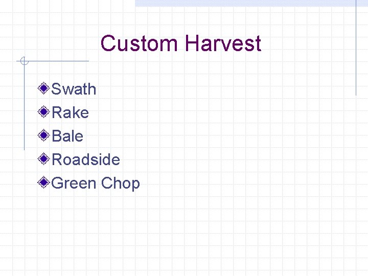 Custom Harvest Swath Rake Bale Roadside Green Chop 