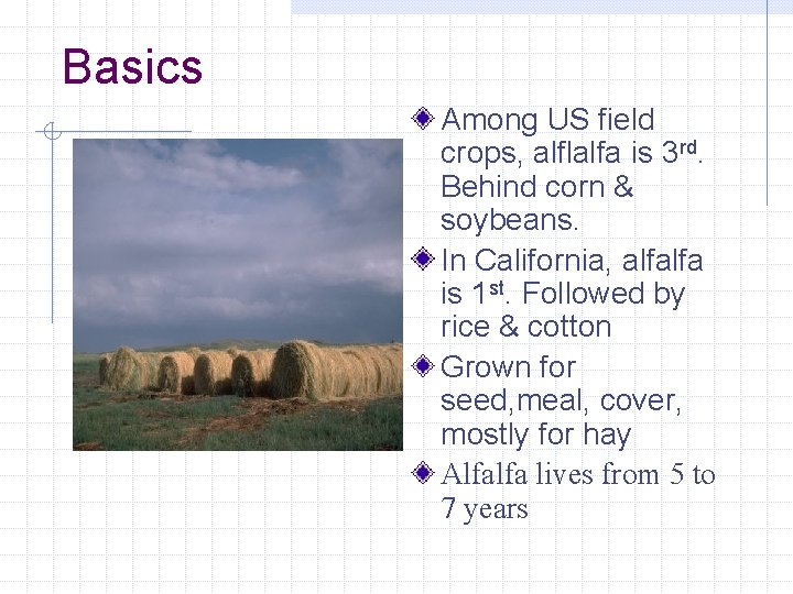 Basics Among US field crops, alflalfa is 3 rd. Behind corn & soybeans. In