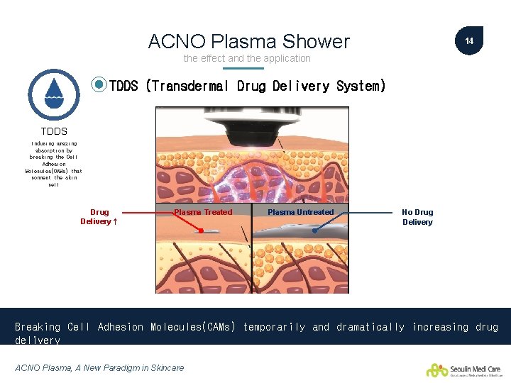 ACNO Plasma Shower 14 the effect and the application TDDS (Transdermal Drug Delivery System)