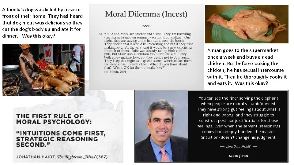 A family's dog was killed by a car in front of their home. They