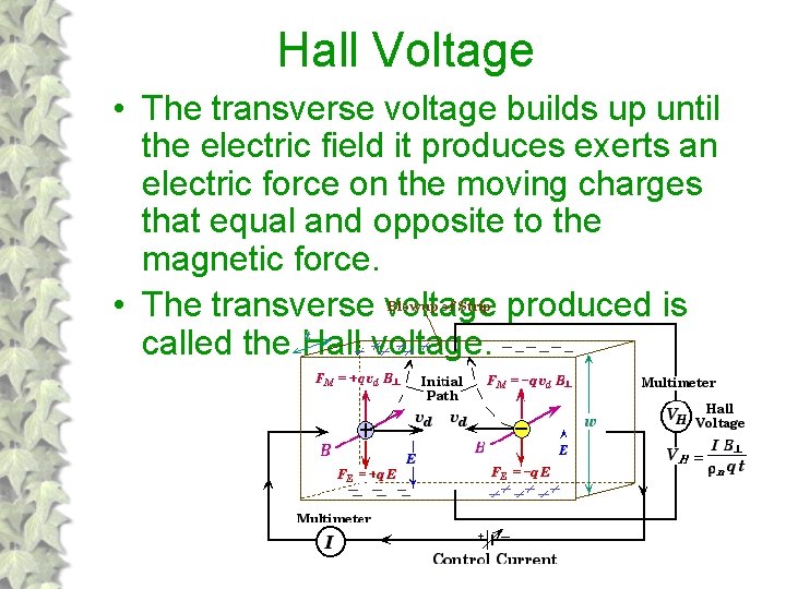 Hall Voltage • The transverse voltage builds up until the electric field it produces