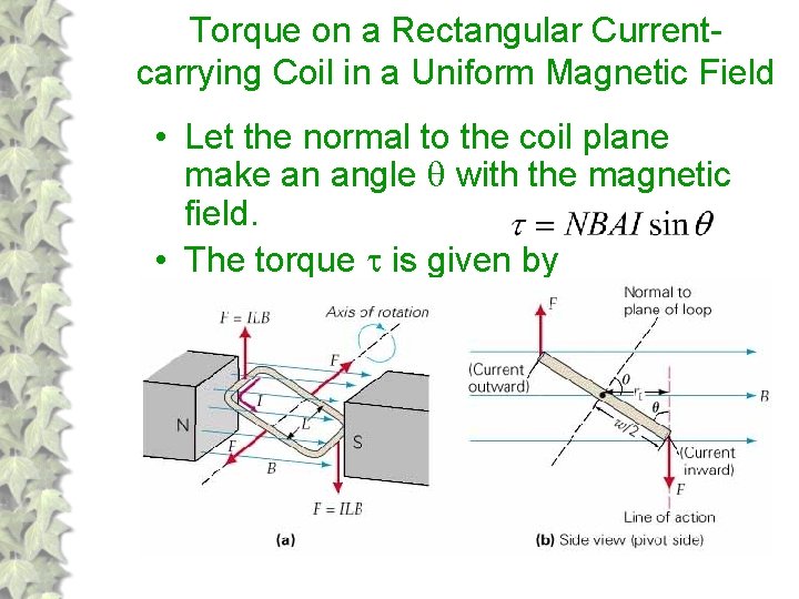 Torque on a Rectangular Currentcarrying Coil in a Uniform Magnetic Field • Let the