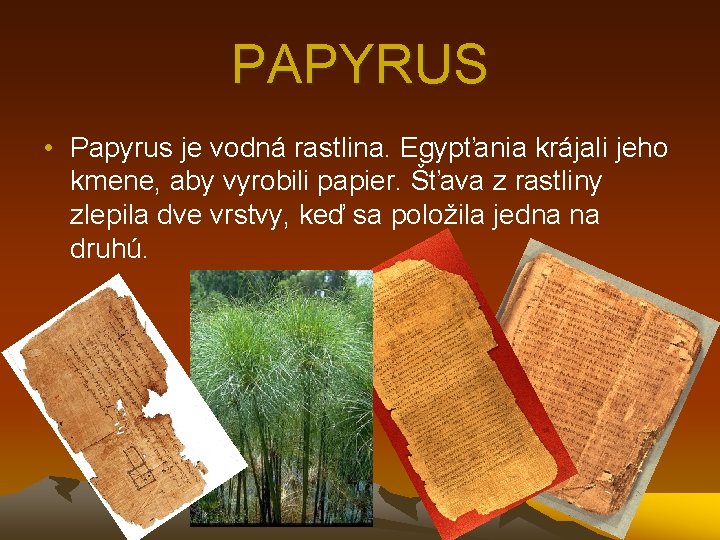 PAPYRUS • Papyrus je vodná rastlina. Egypťania krájali jeho kmene, aby vyrobili papier. Šťava