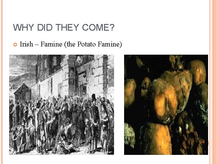 WHY DID THEY COME? Irish – Famine (the Potato Famine) 