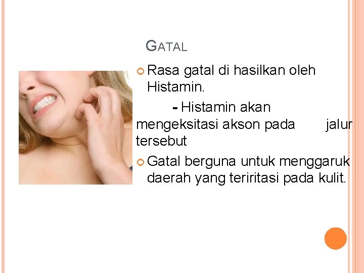 GATAL Rasa gatal di hasilkan oleh Histamin. - Histamin akan mengeksitasi akson pada jalur GATAL Rasa gatal di hasilkan oleh Histamin. - Histamin akan mengeksitasi akson pada jalur