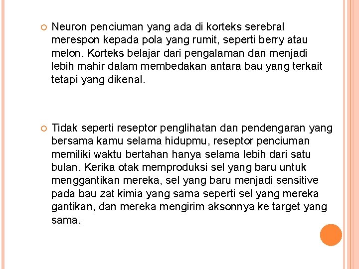 Neuron penciuman yang ada di korteks serebral merespon kepada pola yang rumit, seperti Neuron penciuman yang ada di korteks serebral merespon kepada pola yang rumit, seperti