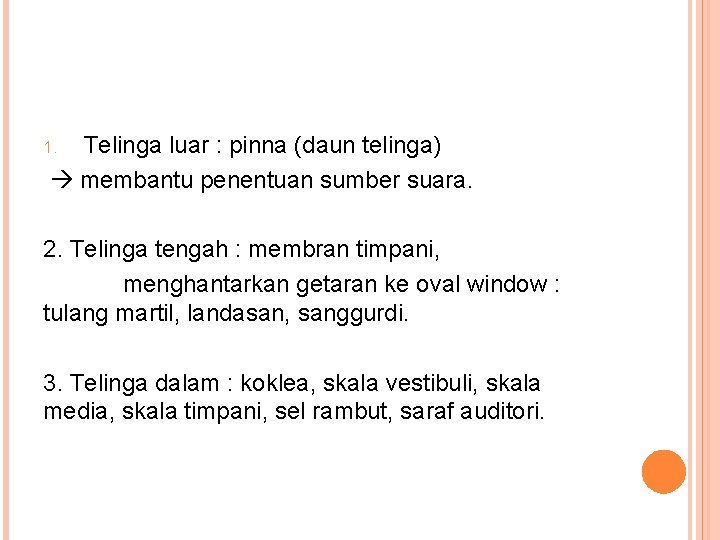Telinga luar : pinna (daun telinga) membantu penentuan sumber suara. 1. 2. Telinga tengah Telinga luar : pinna (daun telinga) membantu penentuan sumber suara. 1. 2. Telinga tengah