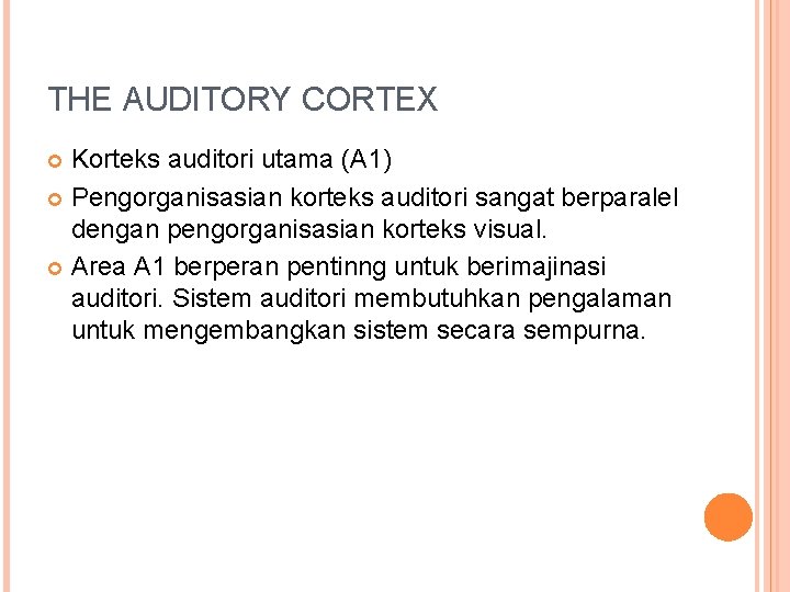 THE AUDITORY CORTEX Korteks auditori utama (A 1) Pengorganisasian korteks auditori sangat berparalel dengan THE AUDITORY CORTEX Korteks auditori utama (A 1) Pengorganisasian korteks auditori sangat berparalel dengan