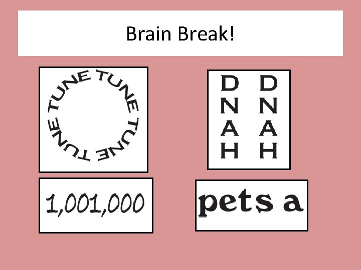 Brain Break! 