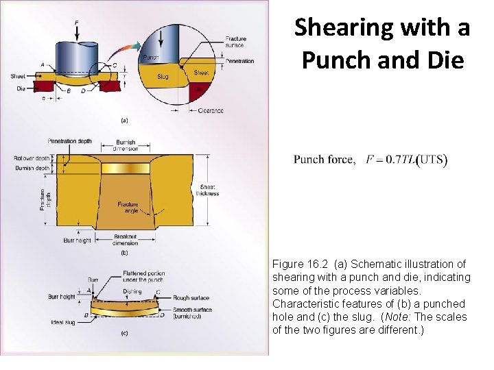 Shearing with a Punch and Die Figure 16. 2 (a) Schematic illustration of shearing