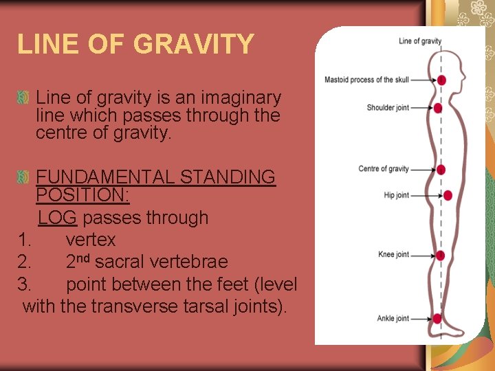 LINE OF GRAVITY Line of gravity is an imaginary line which passes through the