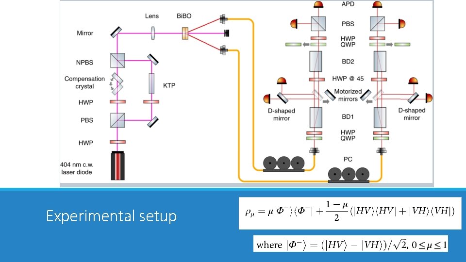 Experimental setup 