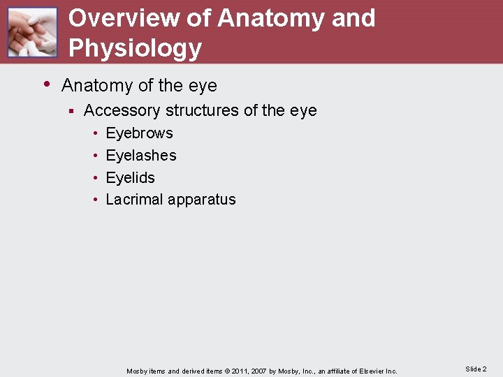 Overview of Anatomy and Physiology • Anatomy of the eye § Accessory structures of