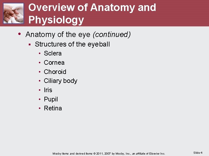 Overview of Anatomy and Physiology • Anatomy of the eye (continued) § Structures of