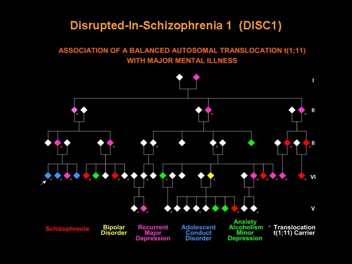 Disrupted-In-Schizophrenia 1 (DISC 1) (Millar et al. , Hum Mol Genet 2000) 