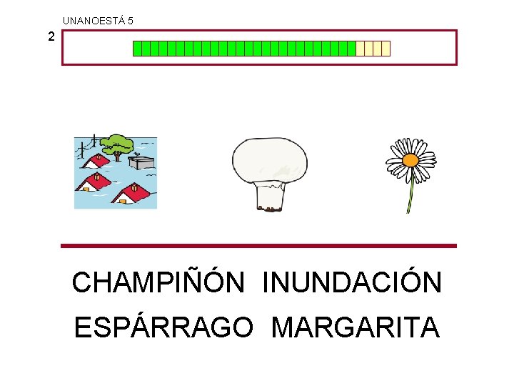 UNANOESTÁ 5 2 CHAMPIÑÓN INUNDACIÓN ESPÁRRAGO MARGARITA 