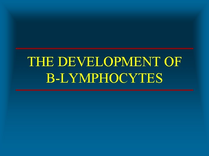 THE DEVELOPMENT OF B-LYMPHOCYTES 