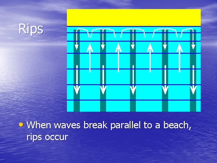 Rips • When waves break parallel to a beach, rips occur 