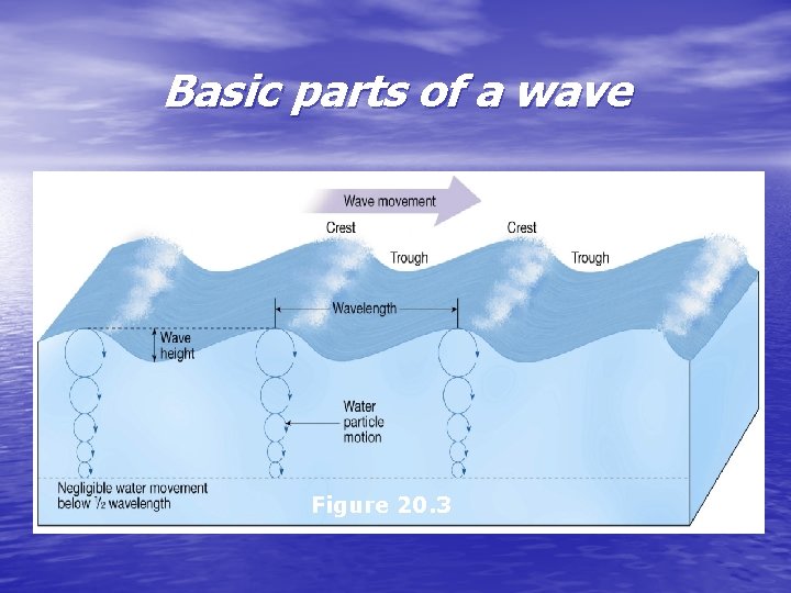 Basic parts of a wave Figure 20. 3 