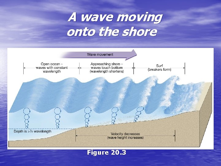 A wave moving onto the shore Figure 20. 3 