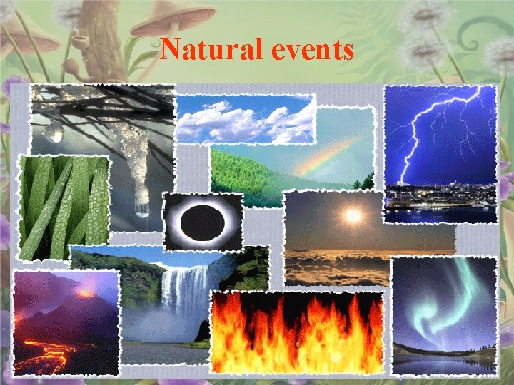 Natural events 