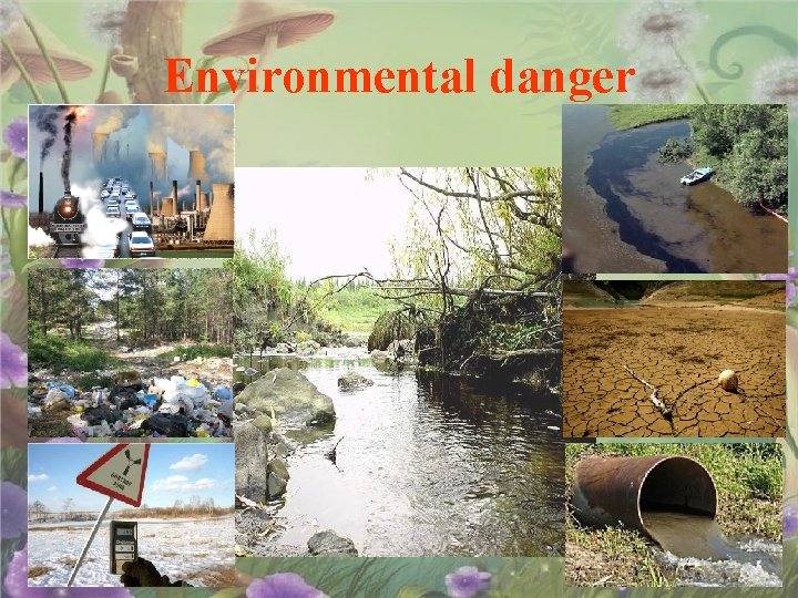 Environmental danger 