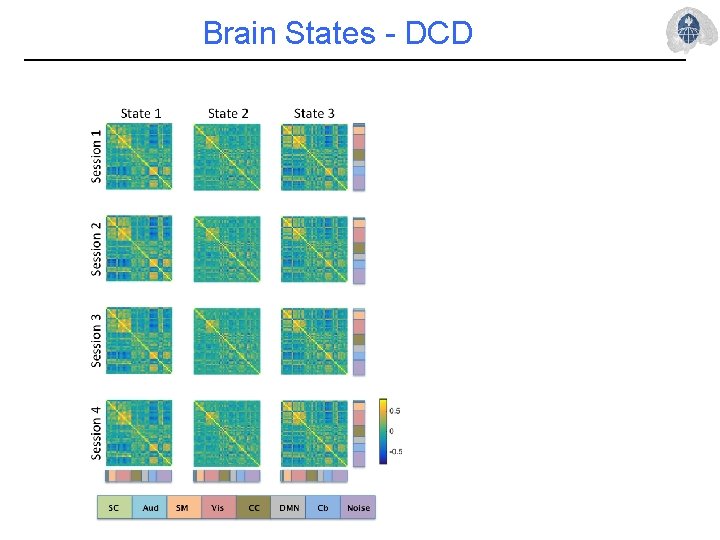 Brain States - DCD 