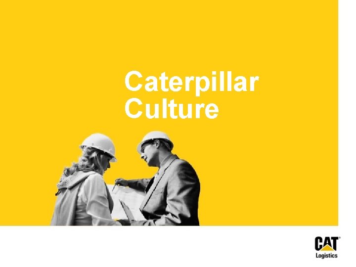 Caterpillar Culture Caterpillar Culture