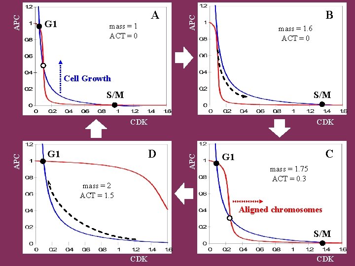 mass = 1 ACT = 0 B APC G 1 A mass = 1.