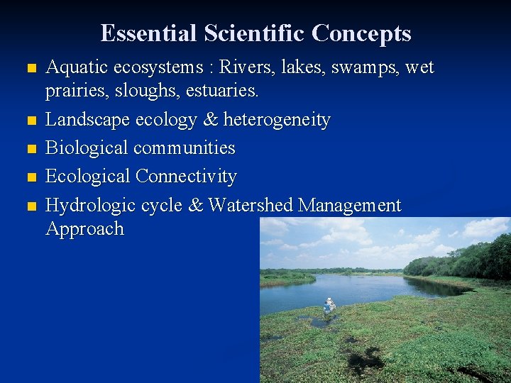 Essential Scientific Concepts n n n Aquatic ecosystems : Rivers, lakes, swamps, wet prairies,