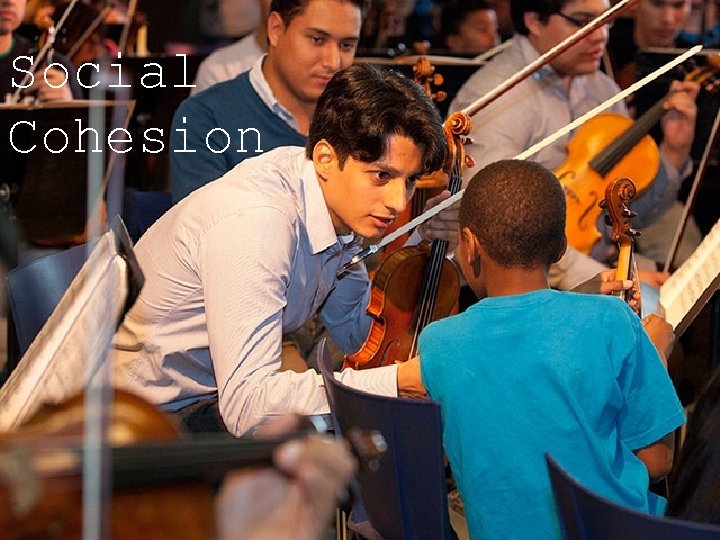 Social Cohesion 