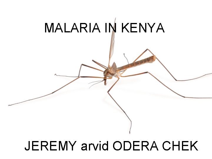 MALARIA IN KENYA JEREMY arvid ODERA CHEK 