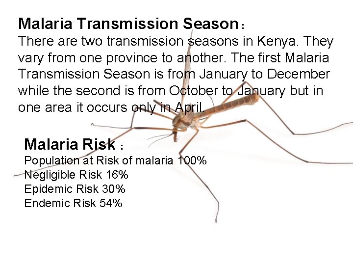 Malaria Transmission Season : There are two transmission seasons in Kenya. They vary from