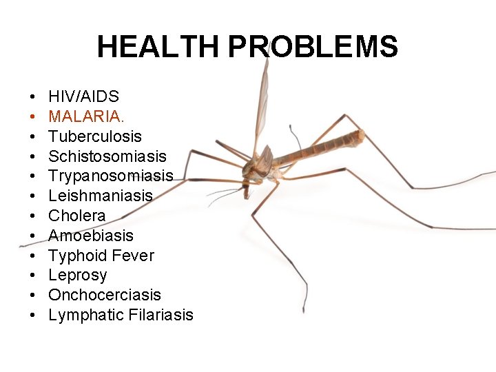 HEALTH PROBLEMS • • • HIV/AIDS MALARIA. Tuberculosis Schistosomiasis Trypanosomiasis Leishmaniasis Cholera Amoebiasis Typhoid