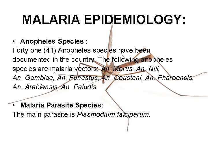 MALARIA EPIDEMIOLOGY: • Anopheles Species : Forty one (41) Anopheles species have been documented